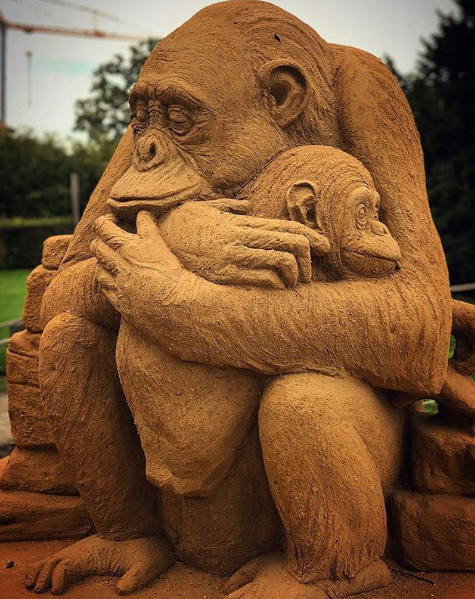 Nguồn: Bright Side