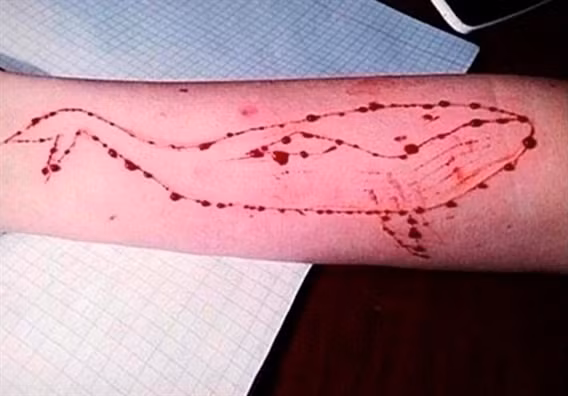 Hình ảnh ám ảnh về thử thách Cá voi xanh, trào lưu từng gây rúng động cộng đồng mạng năm 2018