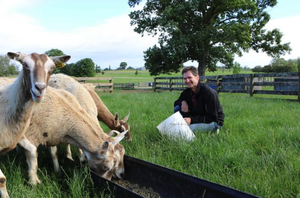 Ảnh: Digital Trends