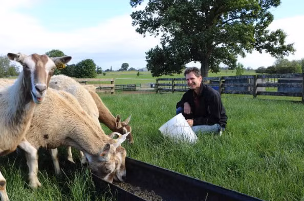 Ảnh: Digital Trends