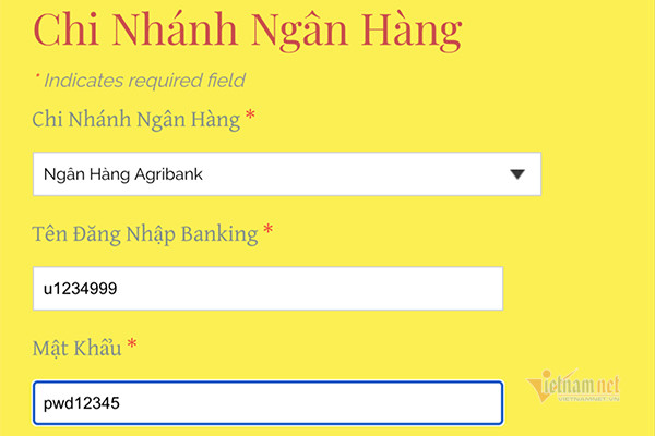 Sau khi chọn ngân hàng, gõ tên đăng nhập, mật khẩu, người dùng đã vô tình trao cho kẻ lừa đảo quyền truy cập vào tài khoản ngân hàng. 