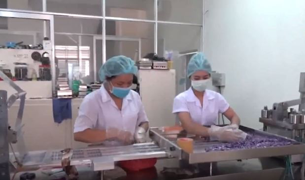 Bắt quả tang việc sản xuất thuốc chữa bệnh và thực phẩm chức năng giả 
