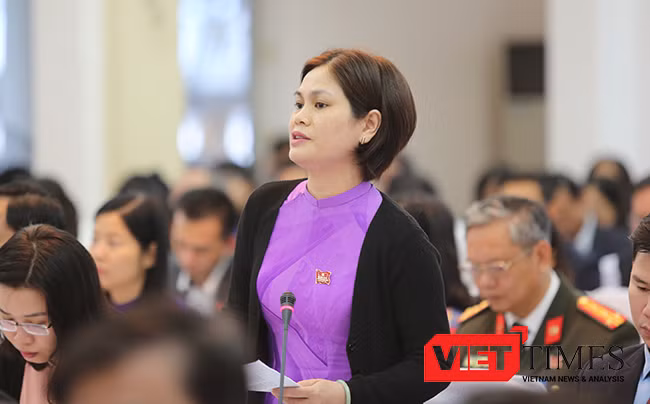 Bí thư Đà Nẵng, Nguyễn Xuân Anh, HĐND, tư nhân, nhà nước, đầu tư, nhiêu khê, bôi trơn, VietTimes
