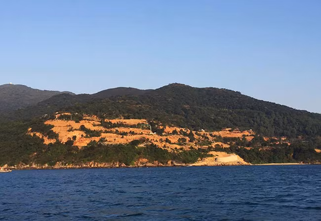 VietTimes, rừng Sơn Trà, bị đào xới, phá rừng, khu du lịch, Đà Nẵng