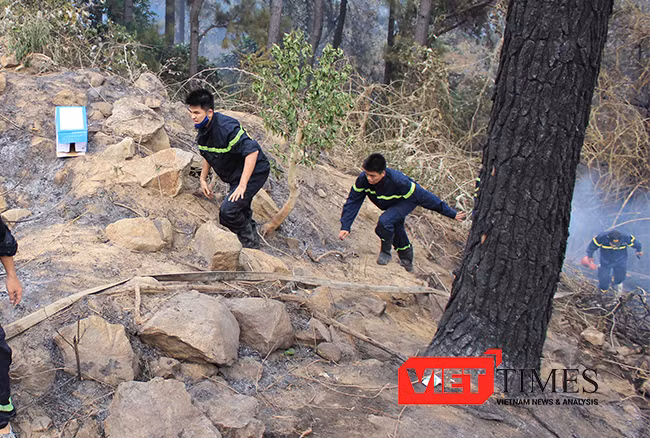 Đà Nẵng, cháy rừng, Hải Vân, tiếng nổ, cảnh sát, dập lửa, PCCC, VietTimes