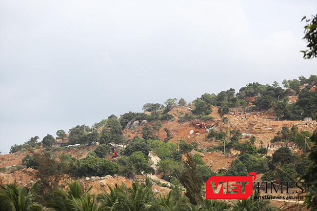 Nhiều nguyên lãnh đạo Đà Nẵng đồng loạt kiến nghị bảo vệ Sơn Trà ảnh 2