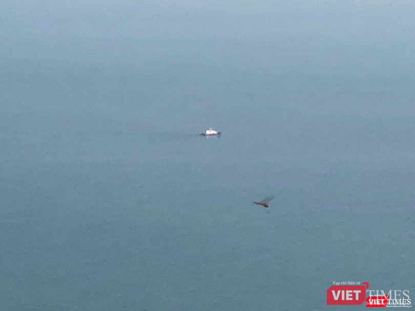 Những hình ảnh đầu tiên của tàu sân bay Mỹ Carl Vinson tại Đà Nẵng ảnh 3