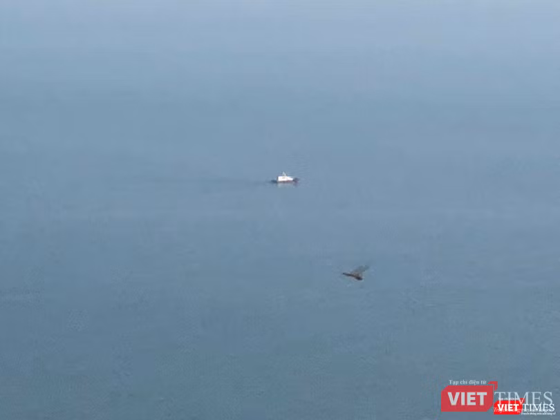 Những hình ảnh đầu tiên của tàu sân bay Mỹ Carl Vinson tại Đà Nẵng ảnh 3