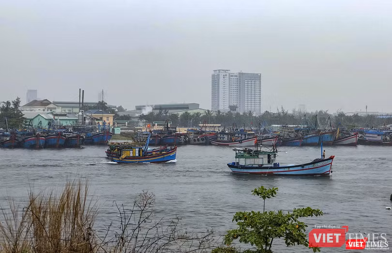 Tàu thuyền di chuyển vào âu thuyền Thọ Quang (Sơn Trà, Đà Nẵng) để tránh bão