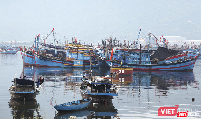 Tàu thuyền neo đậu tránh trủ bão tại âu thuyền Thọ Quang (Đà Nẵng).