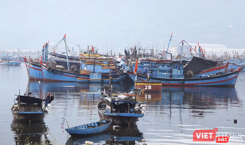 Tàu thuyền neo đậu tránh trủ bão tại âu thuyền Thọ Quang (Đà Nẵng).