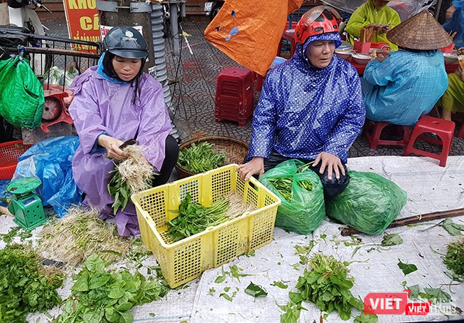 Mưa lũ khiến nhu yếu thẩm, rau xanh khan hiếm