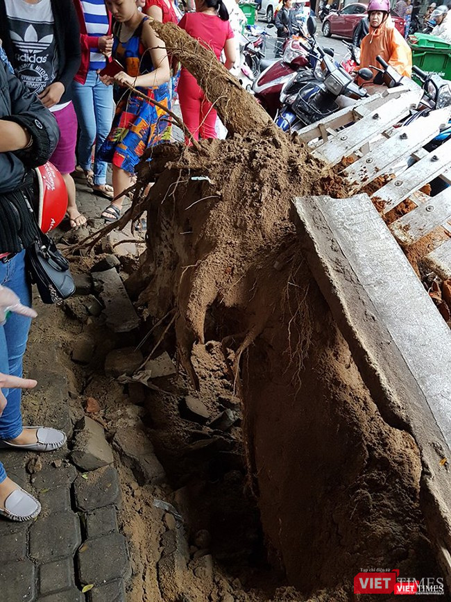 Bão số 12 không đổ bộ, Đà Nẵng vẫn thiệt hại nặng ảnh 10