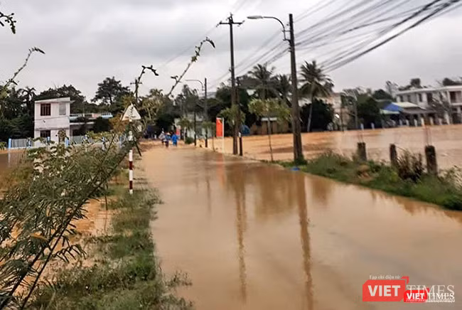 Tại Đà Nẵng, mưa lũ đã nhấn chìm 4.345 hộ dân trên địa bàn huyện Hòa Vang, quận Cẩm Lệ, các vùng rau bị thiệt hại tổng cộng 45ha và nhiều diện tích nuôi trồng thủy sản