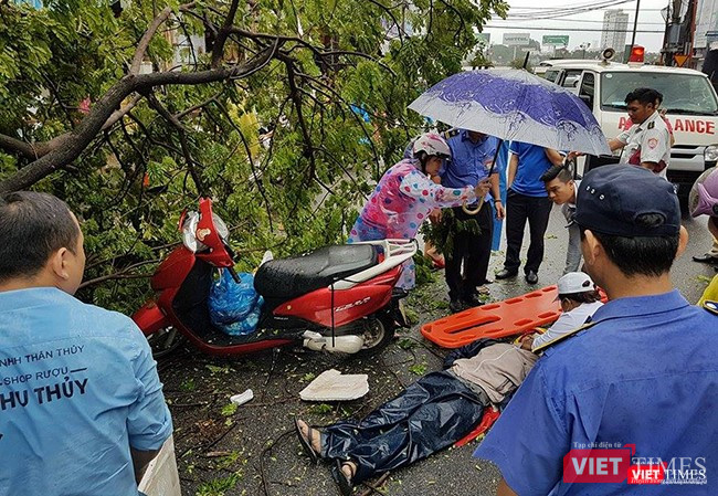 Bão số 12 không đổ bộ, Đà Nẵng vẫn thiệt hại nặng ảnh 12