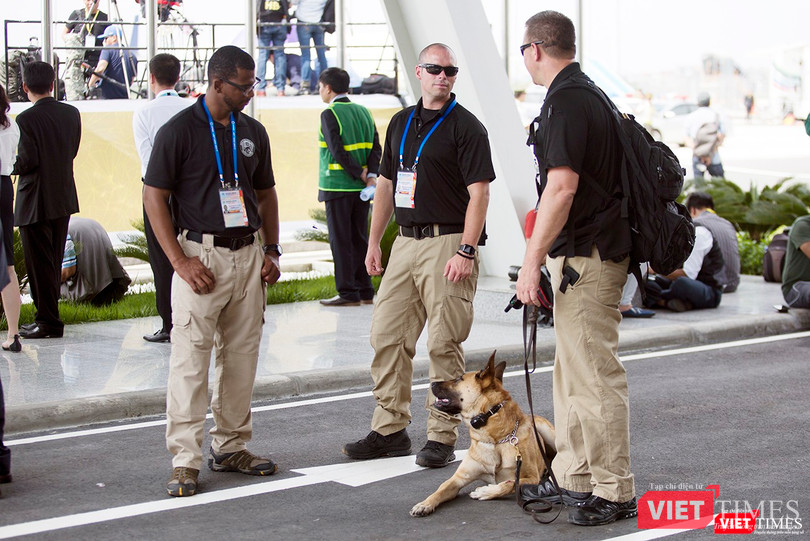 Chó nghiệp vụ cũng xuất hiện làm nhiệm vụ
