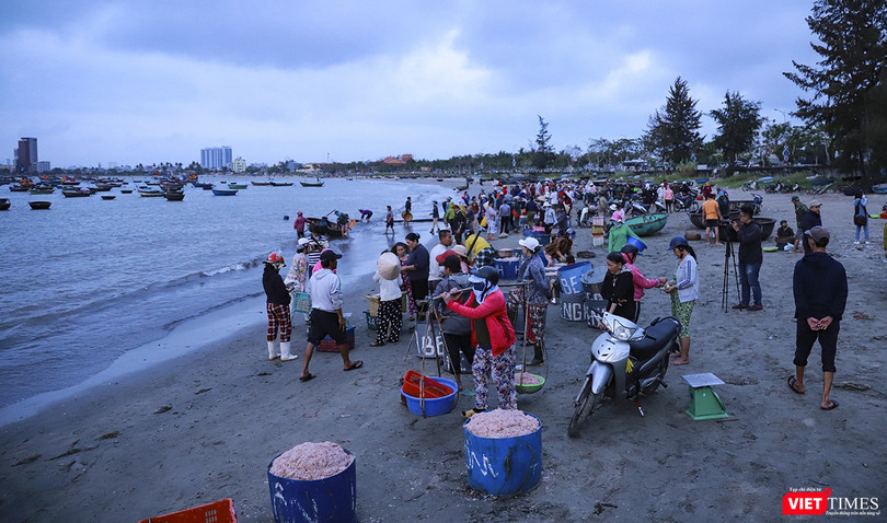 Bãi biển làng chài Mân Thái, dưới chân bán đảo Sơn Trà (Đà Nẵng) vào mùa ruốc muộn
