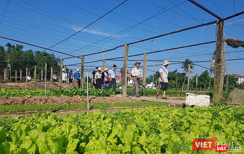 Du lịch gắn với nông nghiệp nông thôn nhiều tiềm năng, nhưng phát triển chưa xứng tầm ảnh 3