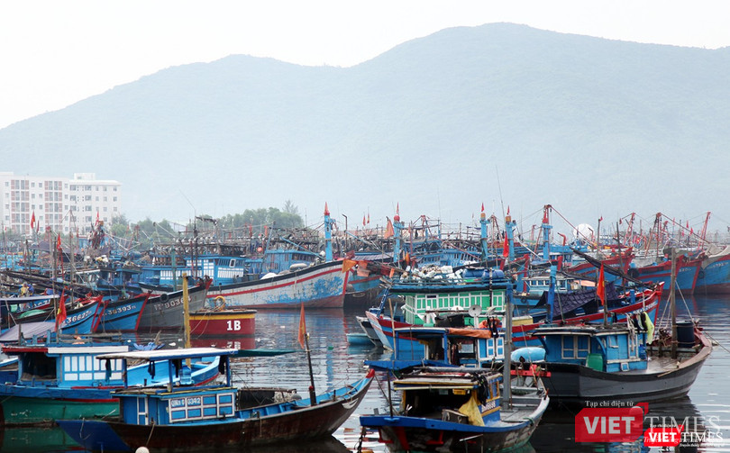 Ngân sách sẽ hỗ trợ hàng năm 100% kinh phí mua bảo hiểm tai nạn thuyền viên cho mỗi thuyền viên làm việc trên tàu. Hỗ trợ hàng năm 50% kinh phí mua bảo hiểm thân tàu