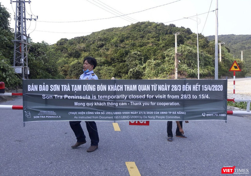 Bán đào Sơn Trà dừng phục vụ khách tham quan kể từ 28/3 (ảnh Minh Hải)