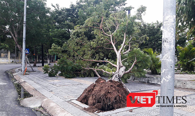 Đà Nẵng, bão số 4, ngập, đổ bộ, áp thấp, tàu thuyền, VietTimes