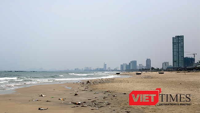 Khu vực biển Mân Thái xuất hiện cá chết dạt vào bờ