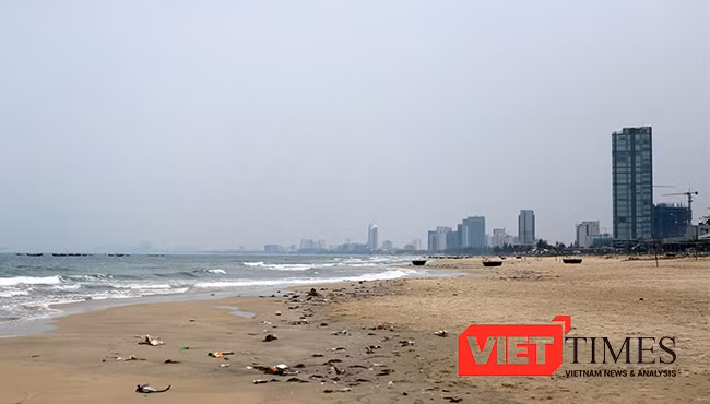 Khu vực biển Mân Thái xuất hiện cá chết dạt vào bờ