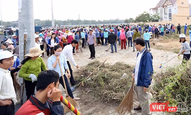 Đà Nẵng: Toàn TP ra quân làm vệ sinh môi trường đón APEC ảnh 4