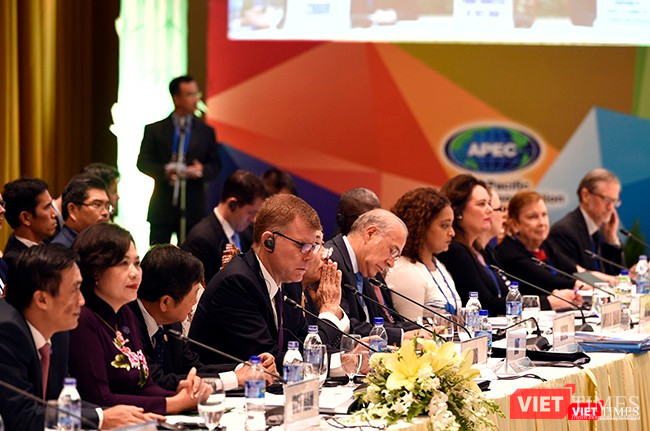 Dưới sự chủ trì của Bộ trưởng Bộ Tài chính Việt Nam, các Bộ trưởng Tài chính, Trưởng đoàn và đại biểu cấp cao đại diện của 21 nền kinh tế thành viên APEC đã cùng thảo luận các vấn đề liên quan đến Đầu tư dài hạn cho cơ sở hạ tầng; Chống xói mòn cơ sở thuế và chuyển dịch lợi nhuận; Tài chính và bảo hiểm rủi ro thiên tai;Và Tài chính bao trùm.
