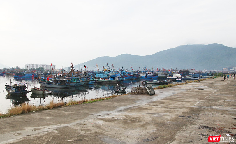 Thủ tướng Chính phủ vừa đồng ý dừng thực hiện Dự án đầu tư xây dựng tuyến luồng vào Khu bến cảng Thọ Quang, Cảng biển Đà Nẵng.