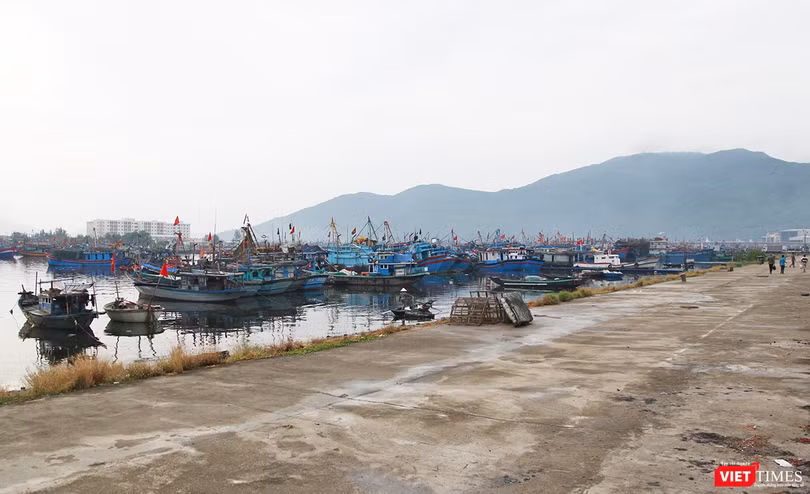 Thủ tướng Chính phủ vừa đồng ý dừng thực hiện Dự án đầu tư xây dựng tuyến luồng vào Khu bến cảng Thọ Quang, Cảng biển Đà Nẵng.