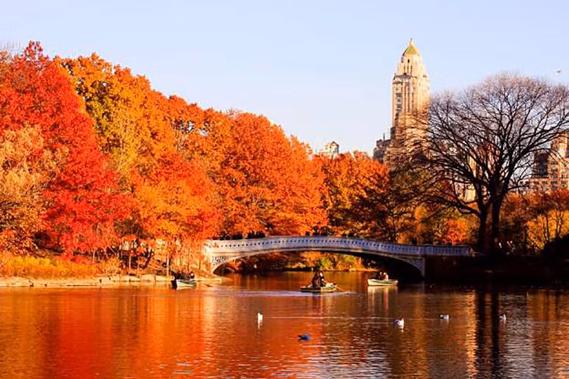 Công viên Central Park, Thành phố New York, Hoa Kỳ nhuốm màu vào thu (ảnh Adam Jeffery Photography)