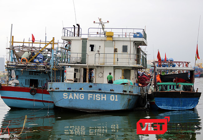 Nghị định 67 đã giúp ngư dân của 27/28 tỉnh, thành phố ven biển được tiếp cận nguồn vốn để đóng mới, nâng cấp 1.948/2.284 tàu