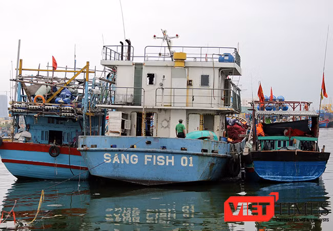 Nghị định 67 đã giúp ngư dân của 27/28 tỉnh, thành phố ven biển được tiếp cận nguồn vốn để đóng mới, nâng cấp 1.948/2.284 tàu