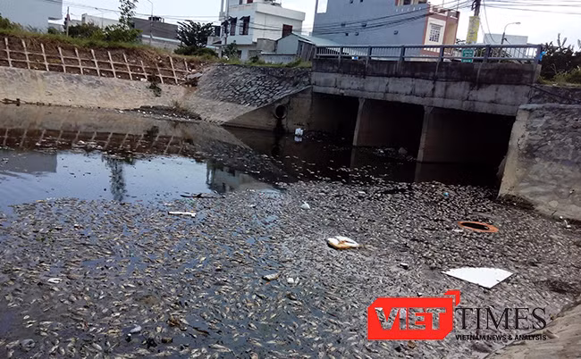 Kênh Đa Cô, nơi xảy ra hiện tượng cá chết hàng loạt