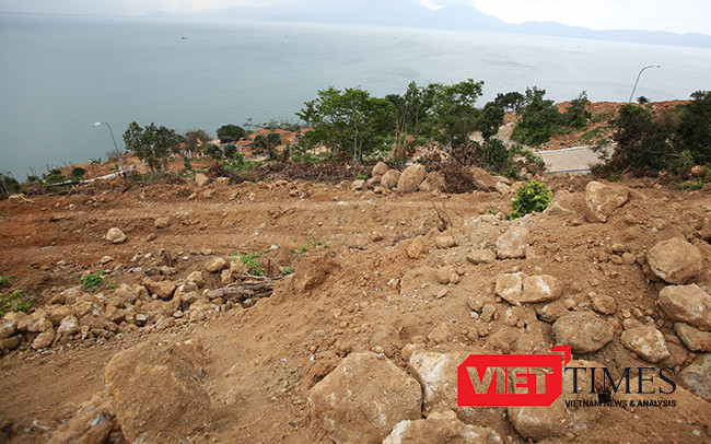 VietTimes, Đà Nẵng, Sơn Trà, phá rừng, Chủ tịch UBND TP, dự án, băm nát, biệt thự nghỉ dưỡng