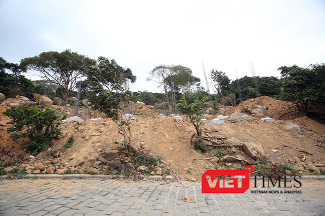 VietTimes, Đà Nẵng, Sơn Trà, phá rừng, Chủ tịch UBND TP, dự án, băm nát, biệt thự nghỉ dưỡng