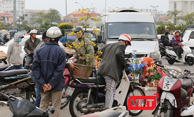 VietTimes, Mưa kéo dài, kinh doanh khó khăn, Chủ tịch UBND, TP Đà Nẵng, Huỳnh Đức Thơ, giảm giá, 50%, tiền thuê mặt bằng, bán hoa Tết, tiểu thương.