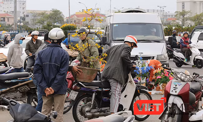 VietTimes, Mưa kéo dài, kinh doanh khó khăn, Chủ tịch UBND, TP Đà Nẵng, Huỳnh Đức Thơ, giảm giá, 50%, tiền thuê mặt bằng, bán hoa Tết, tiểu thương.