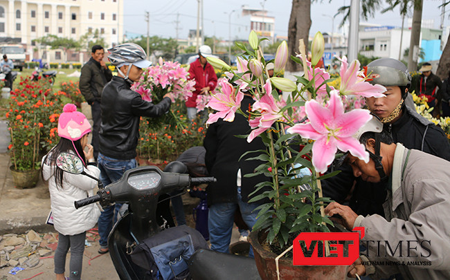 VietTimes, Mưa kéo dài, kinh doanh khó khăn, Chủ tịch UBND, TP Đà Nẵng, Huỳnh Đức Thơ, giảm giá, 50%, tiền thuê mặt bằng, bán hoa Tết, tiểu thương.