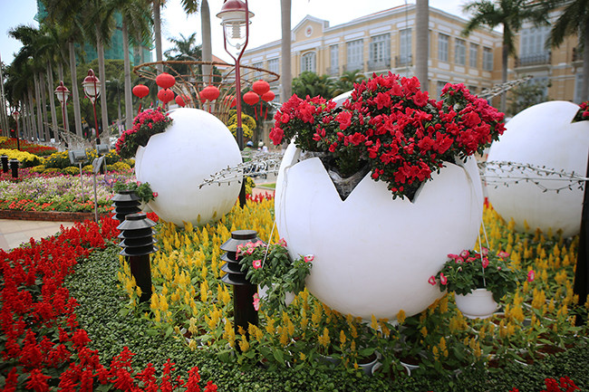 VietTimes, sáng 30 Tết, Đinh Dậu 2017, Đà Nẵng, đường hoa, Bạch Đằng