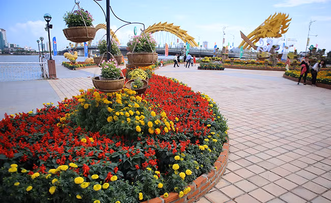 VietTimes, sáng 30 Tết, Đinh Dậu 2017, Đà Nẵng, đường hoa, Bạch Đằng