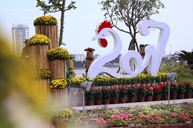 VietTimes, sáng 30 Tết, Đinh Dậu 2017, Đà Nẵng, đường hoa, Bạch Đằng