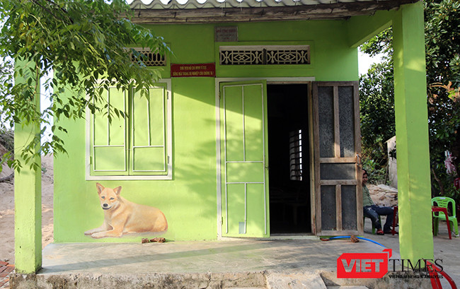 Ngắm “con đường thuyền thúng” độc đáo ở Quảng Nam ảnh 40