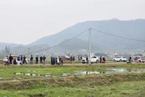 "Biển người" đổ về Nghệ An săn đất