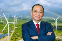 VinEnergo của tỷ phú Phạm Nhật Vượng là nhà đầu tư đáp ứng yêu cầu, đủ điều kiện tham gia triển khai dự án nhà máy điện gió Hòn Trâu - Giai đoạn 1