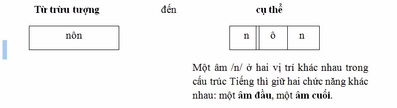 Một âm /n/ ở hai vị trí khác nhau trong cấu trúc Tiếng thì giữ hai chức năng khác nhau: một âm đầu, một âm cuối.