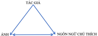 Ngôn ngữ chú thích ảnh: Một biểu hiện không đơn giản của nhiều mối quan hệ ảnh 1 Ngôn ngữ chú thích ảnh: Một biểu hiện không đơn giản của nhiều mối quan hệ ảnh 1