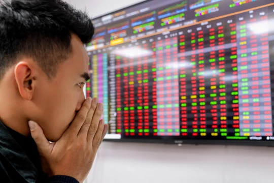 Nhiều cổ phiếu chao đảo thời gian qua sau những tin đồn vô căn cứ. Ảnh minh hoạ: HT