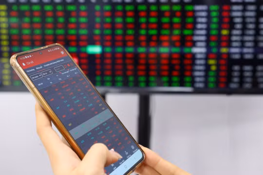 3 cổ đông lớn của HDS đồng loạt thoái vốn. Ảnh minh hoạ: YT